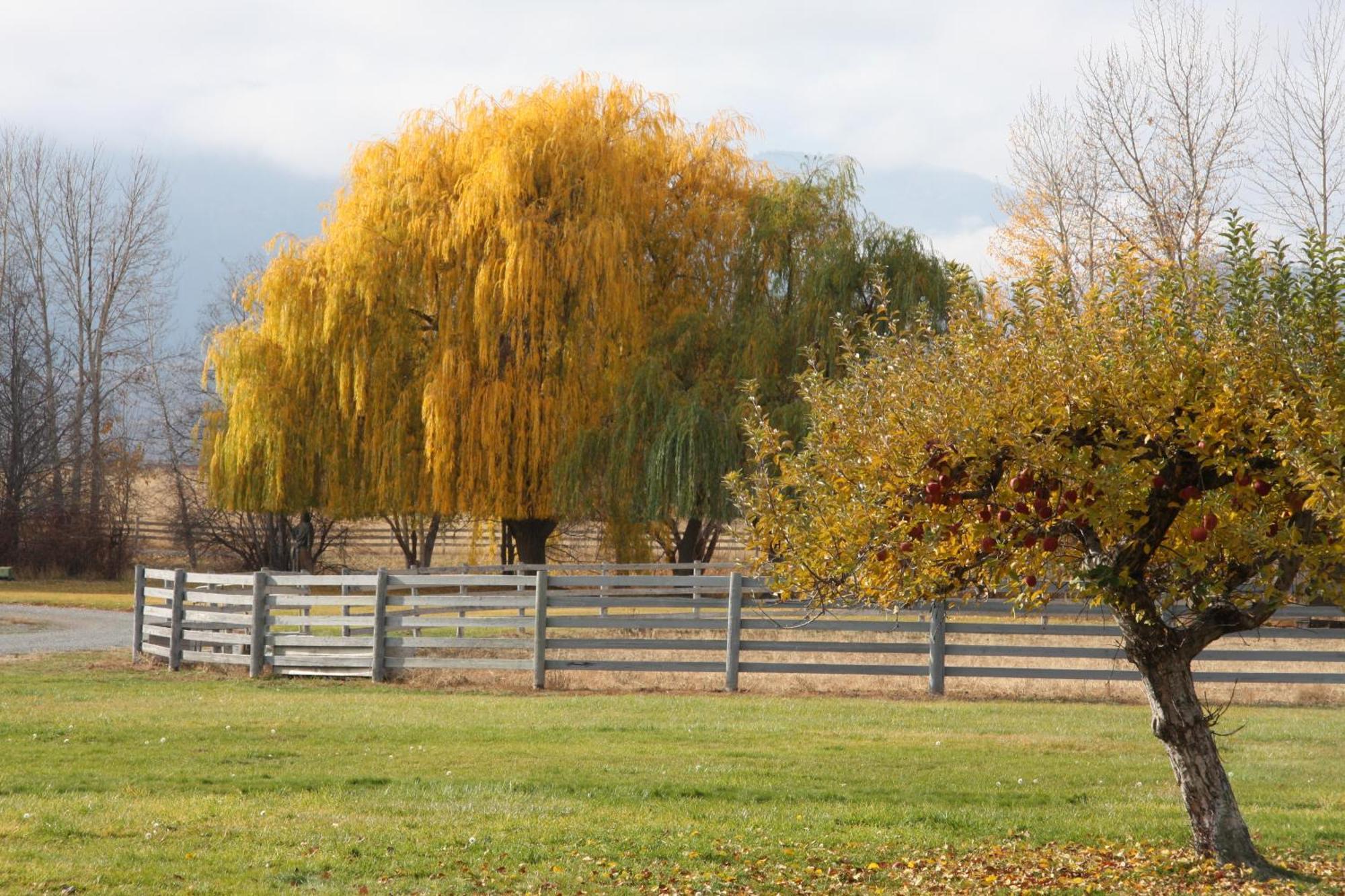 Casia Lodge And Ranch Twisp Luaran gambar